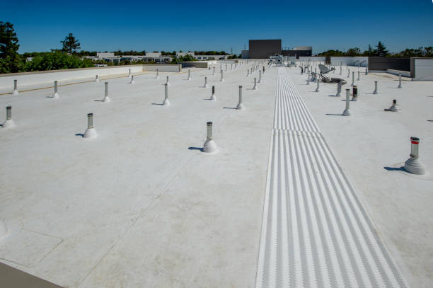 Best Cold Roofs  in Marfa, TX